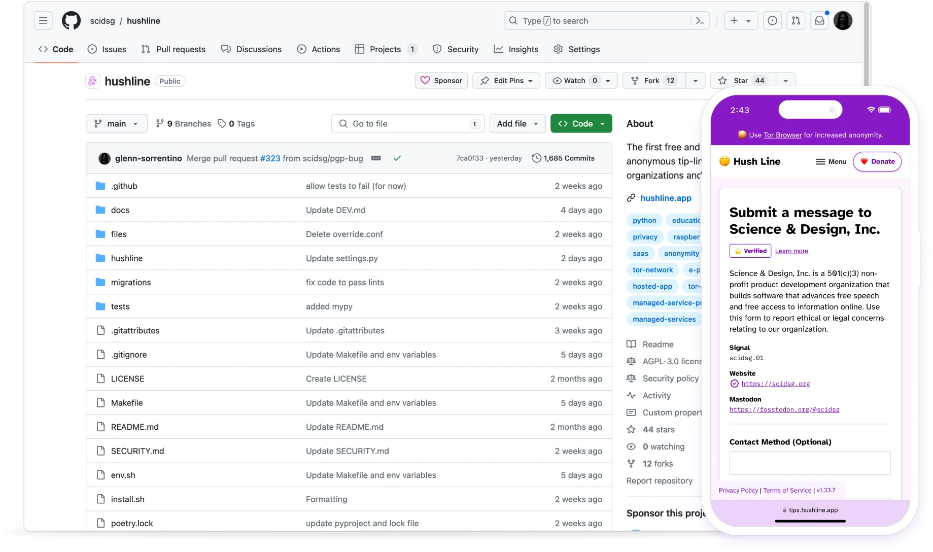 Screenshot of Github